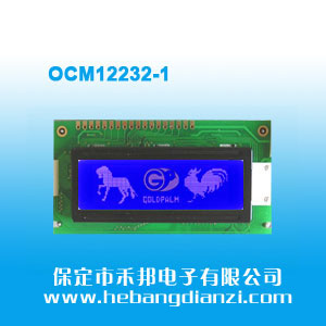 OCM12232-1 �{��5V