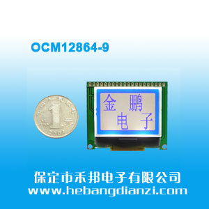 OCM12864-9�{��(3.3V/COG)