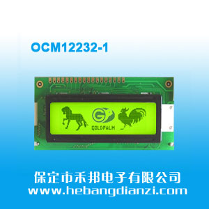 OCM12232-1 �S�G��5V