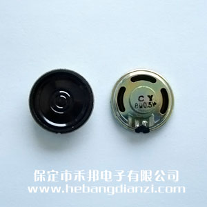 ���Ȧ�23mm,0.25W,8��