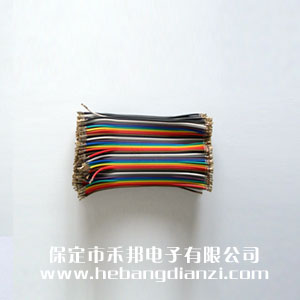 2.0�Ű10cm