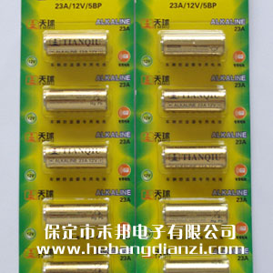 23A늳� 12V