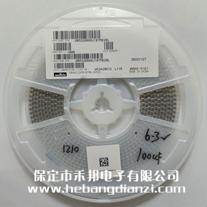 �NƬ���100UF ���b1210 6.3V