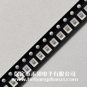 �NƬ2835��ɫ