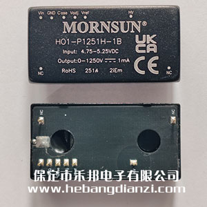 HO1-P1251H-1B